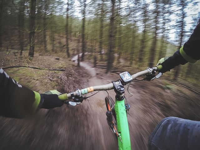 Tipi-di-mountain-bike