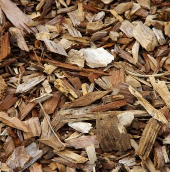 Il mulching (o pacciame): cos’è e come si fa