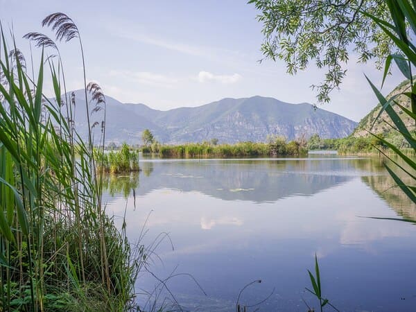 Riserva-Naturale-Torbiere-del-Sebino-Lombardia