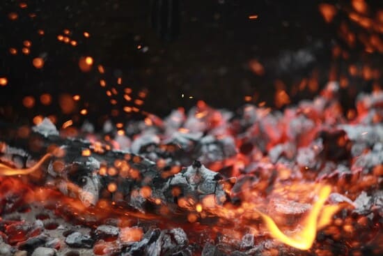 I-tipi-di-cenere-da-usare-come-concime