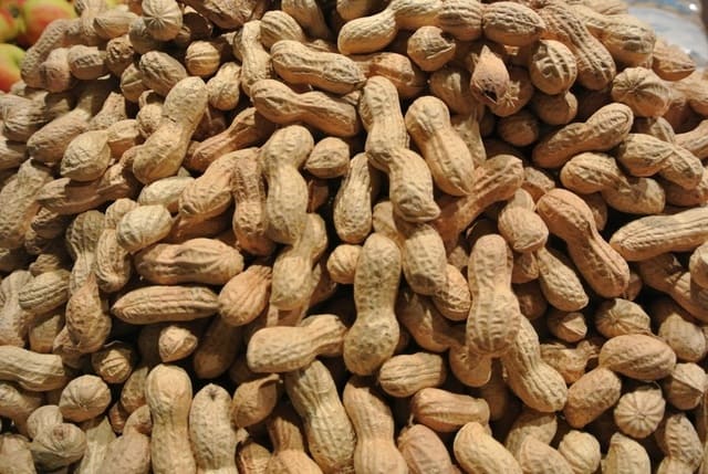 Arachidi-frutta-a-guscio