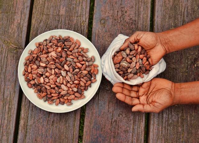 Cacao-frutta-a-guscio