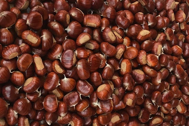 Castagne-frutta-a-guscio