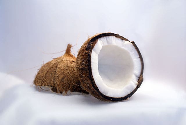Cocco-frutta-a-guscio