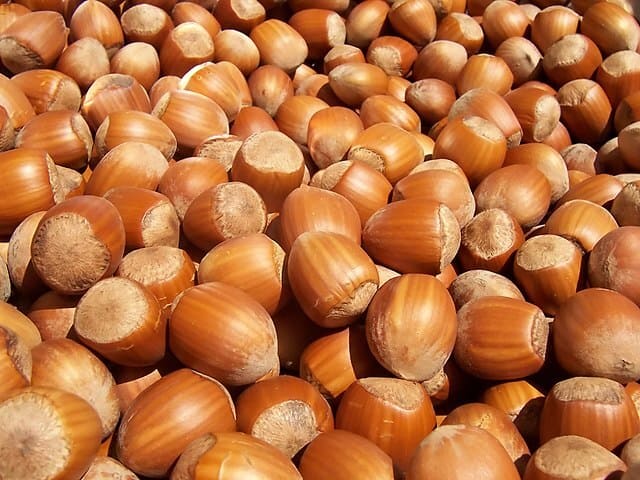 Nocciole-frutta-a-guscio