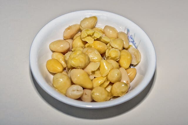 Noci-di-ginkgo-frutta-a-guscio